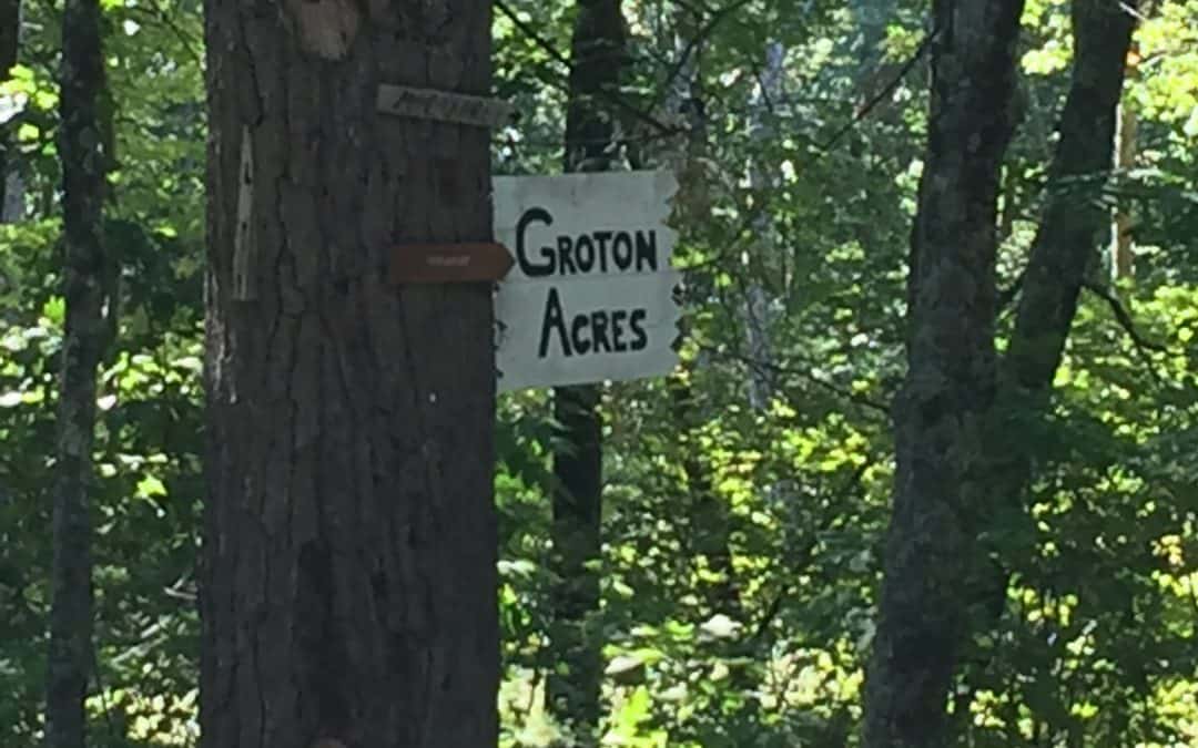 Groton Woods